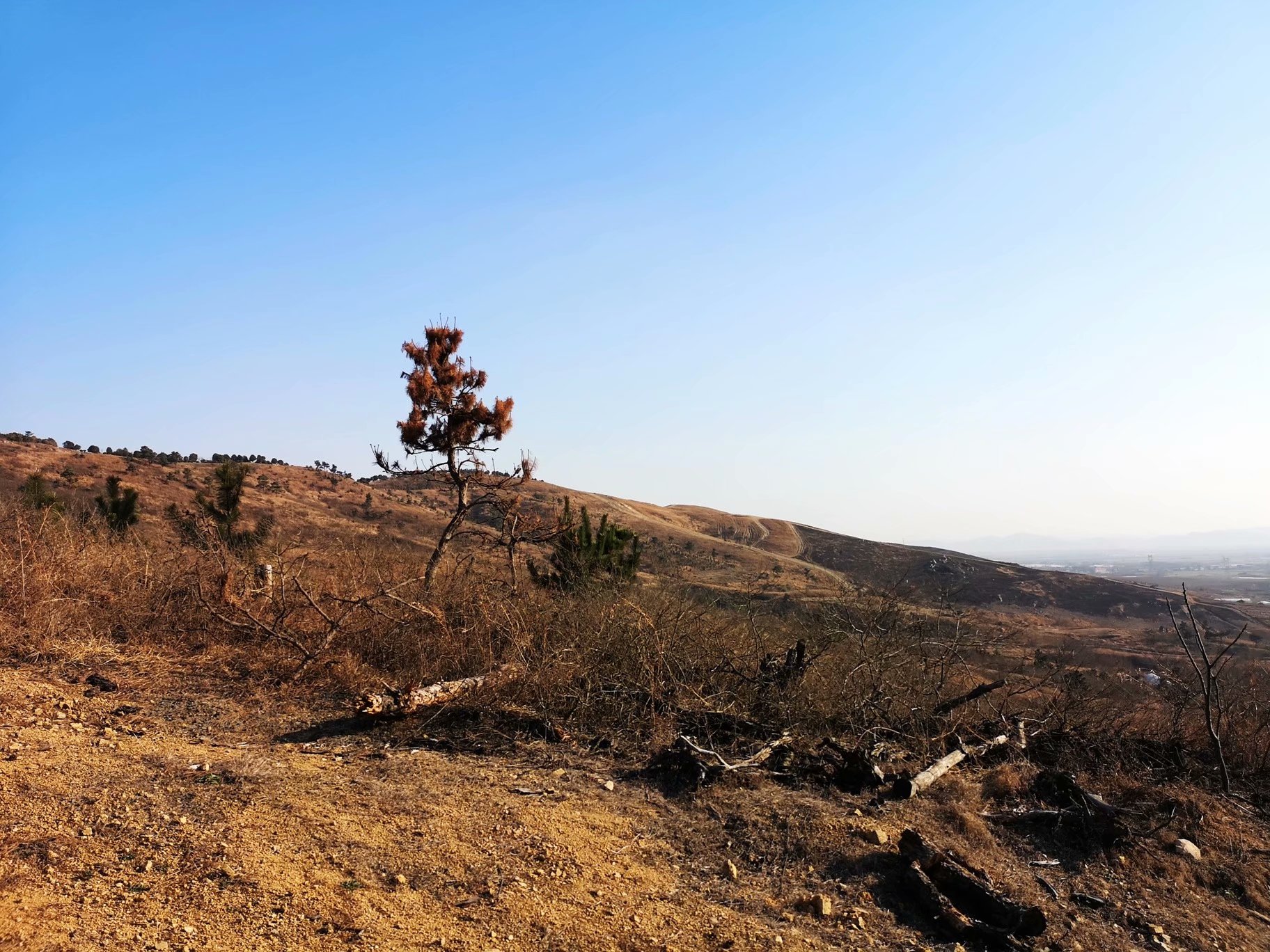 摩托周边旮旯游——探访蚌埠李楼鲁山寺遗址（上）