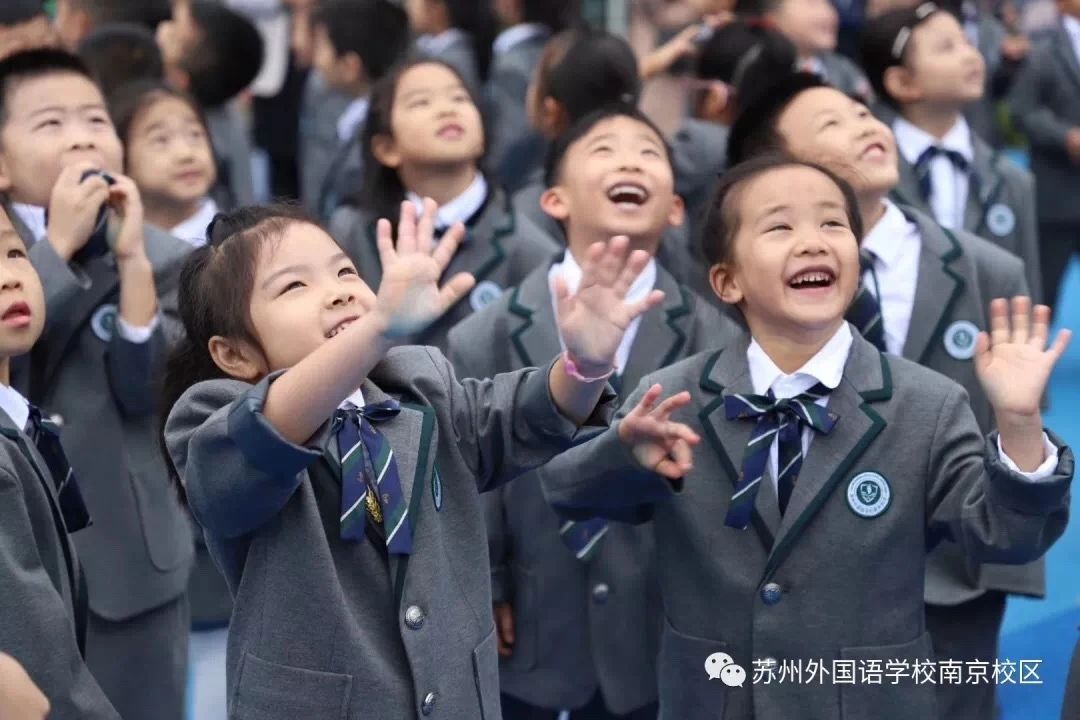 南京外国语学校排行,南京最隐秘的一所大学