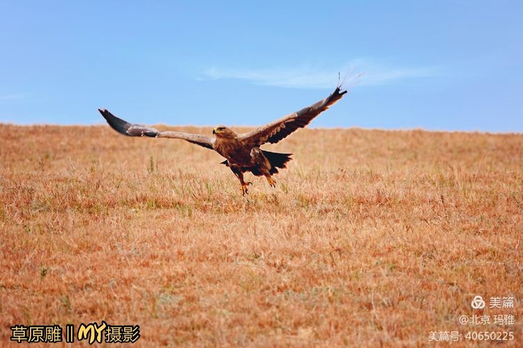 空中巨无霸a380制造,空中巨无霸a380王者归来