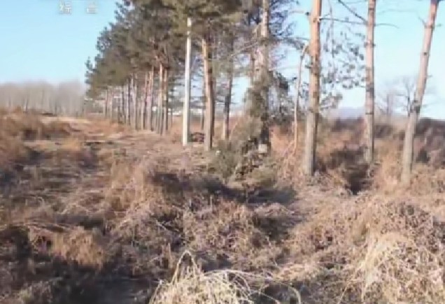 迟来23年的清白——被冤入狱，母亡妻散，多次上诉，4次被判死缓