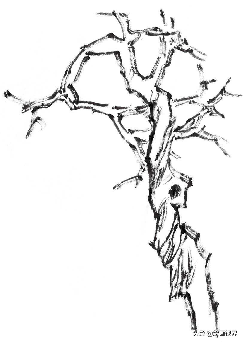 国画双钩树的画法入门,国画杂树与山石的画法图片