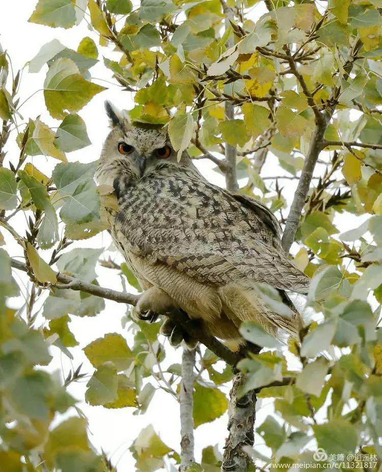 天坛最近发生什么事,北京天坛现在的状况
