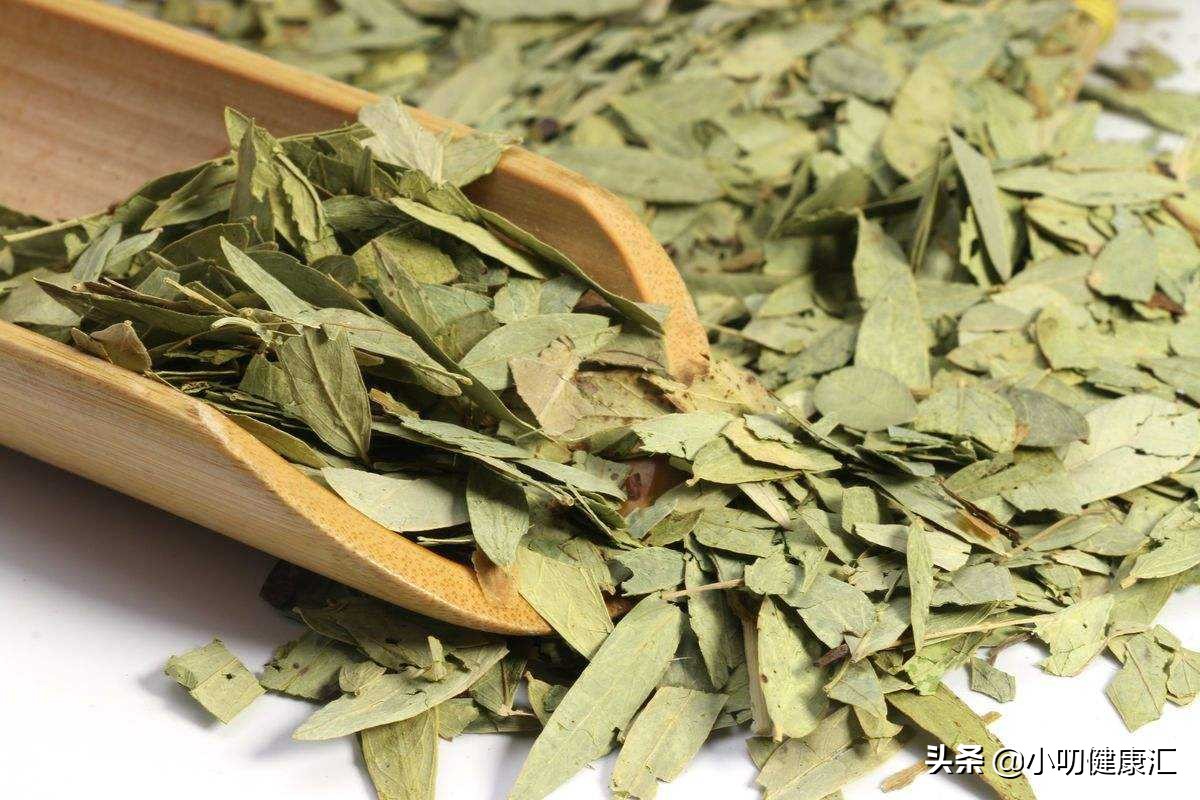 番泻叶的功效与作用能减肥吗,番泻叶加什么快速减肥