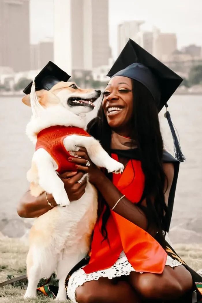 整天说爱狗，你究竟可以做到哪些呢？