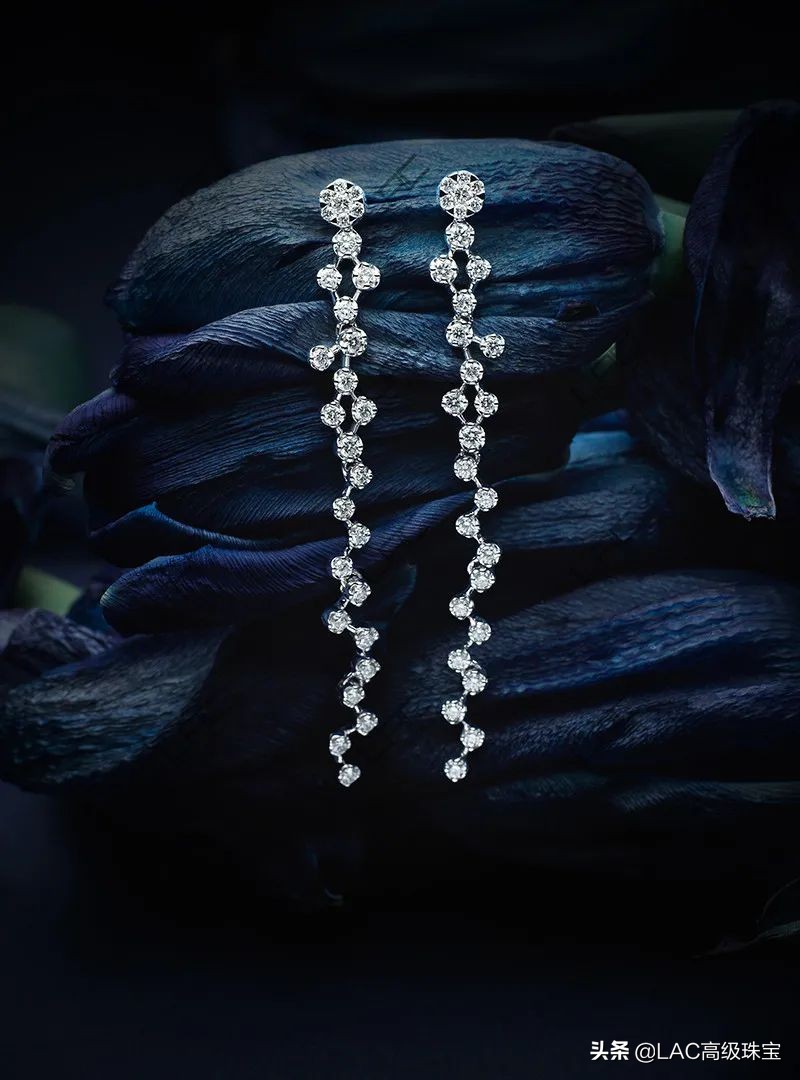 情定七夕携手相约,情定七夕