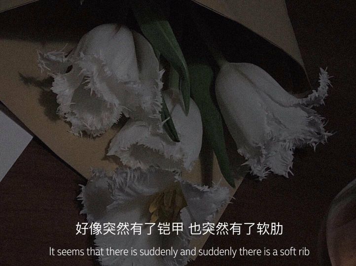 文字头像壁纸无水印,陈情令文字壁纸无水印