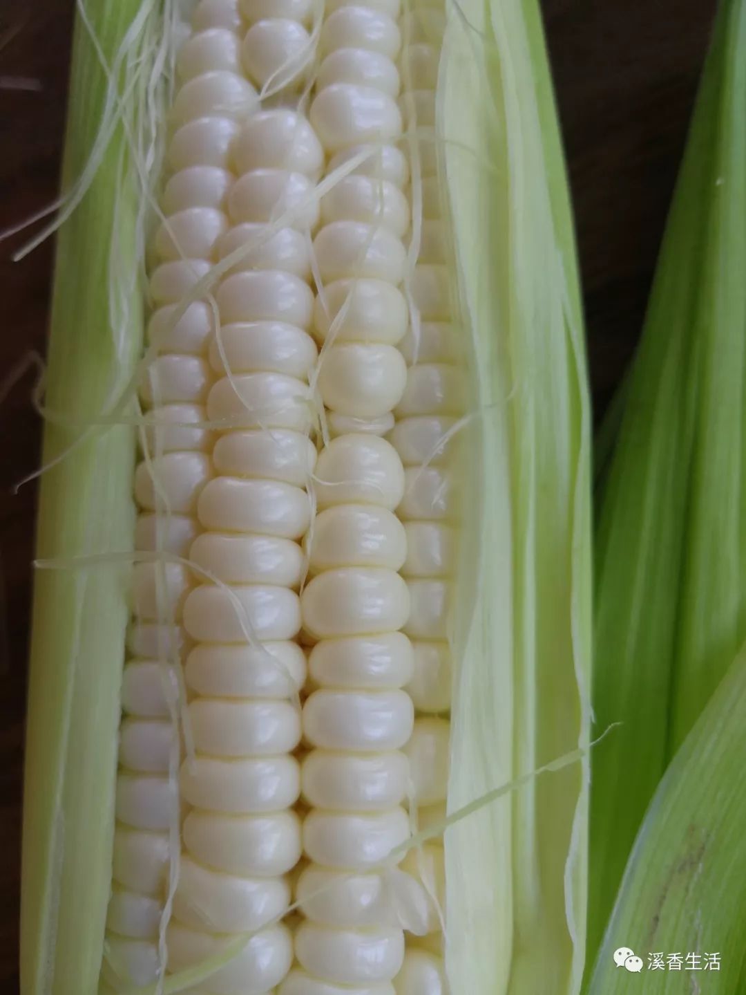 西溪南古村落惬意慢生活,徽州西溪南生活