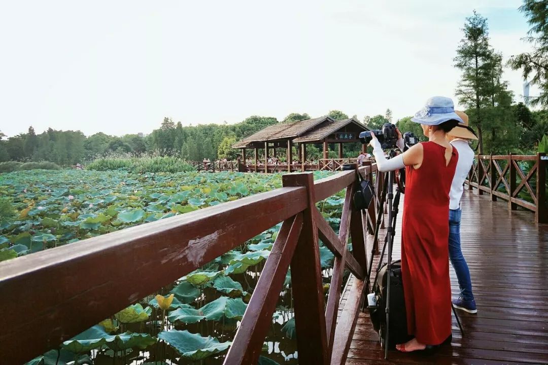 广州拍照好看的地方情侣,广州适合女孩子拍照的地方