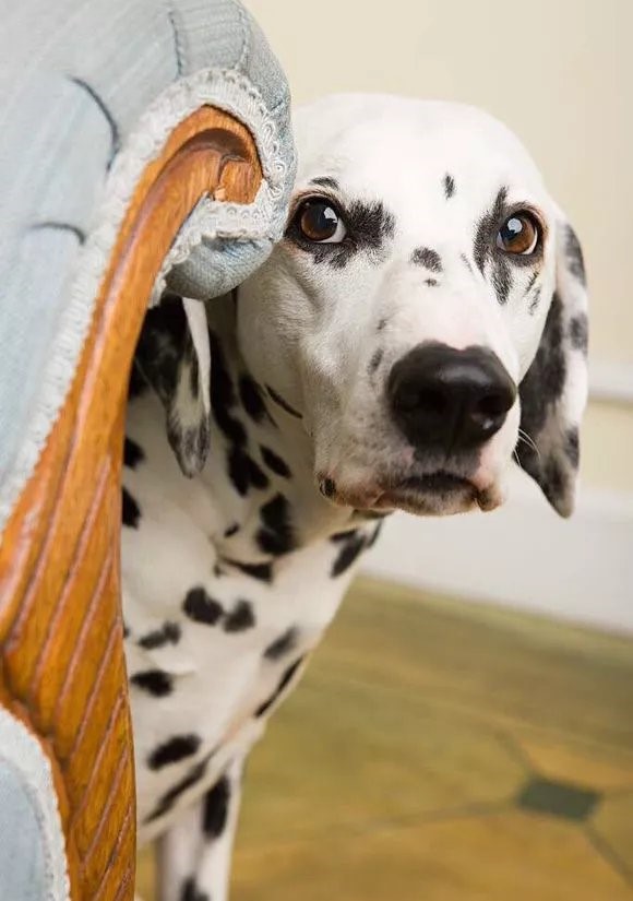 金斯瑞是什么,金斯瑞生物科技缺点