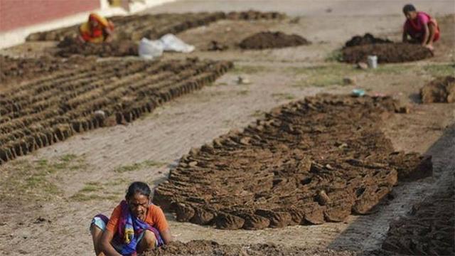 印度掏粪工死于什么病,印度掏粪工死亡率