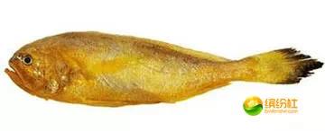 舟山海鲜代加工攻略,最全舟山海鲜攻略