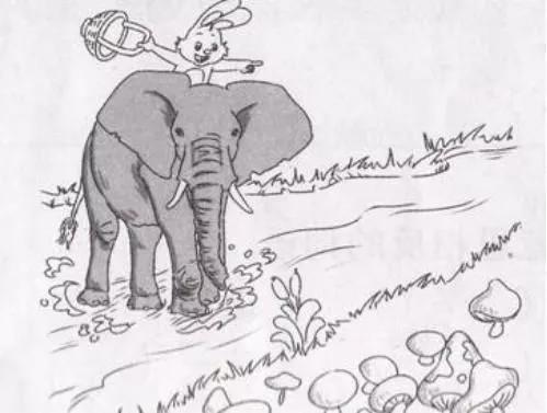 看图写话句式专项训练,看图写话万能公式口诀