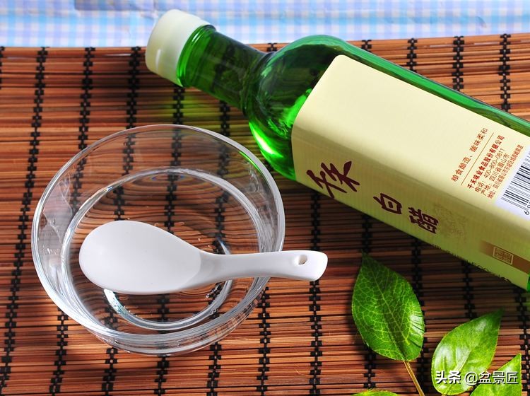 花店养花步骤和技巧图片,最全的养花宝典不会养花的来看看