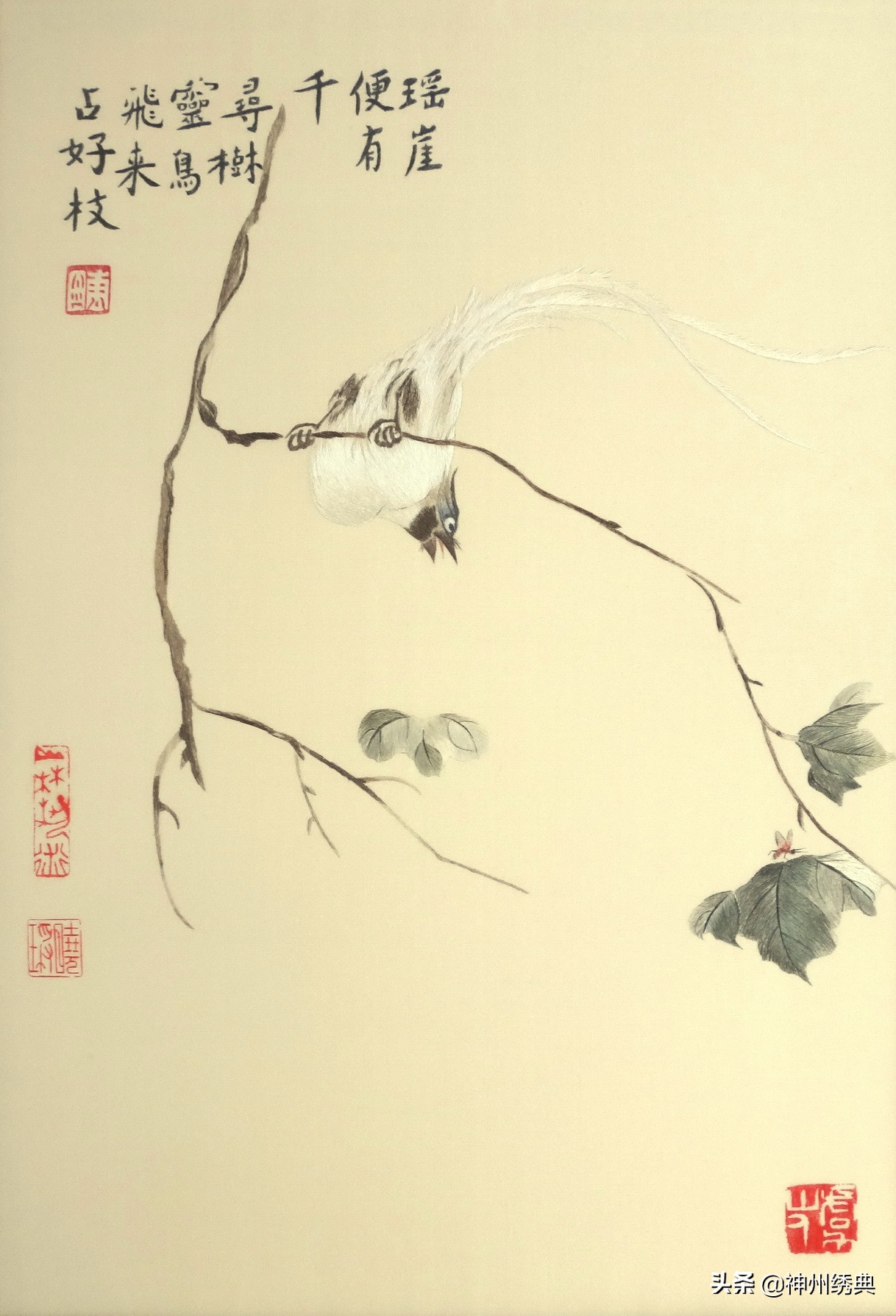 初学刺绣的十种基本针法,刺绣基础绣法