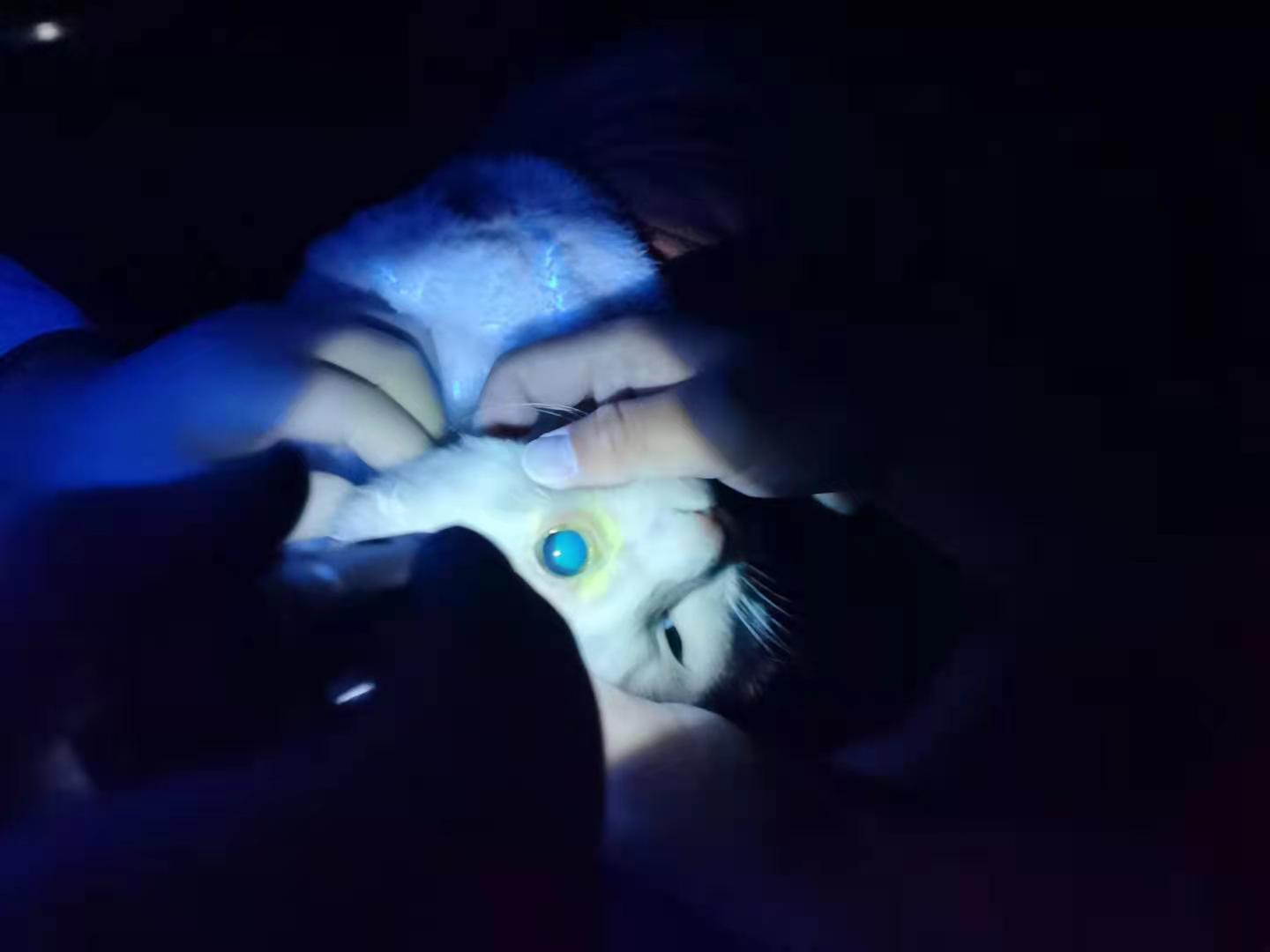 一个小细节能省几百块,一个小细节让你省上千块