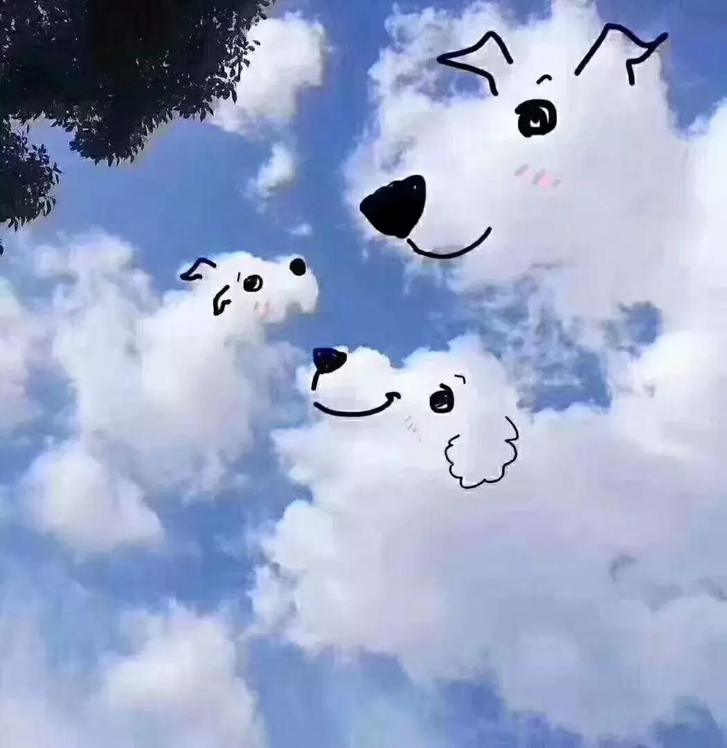 《阿拉丁》和那些陪伴我们长大的童话，为什么会这么脍炙人口