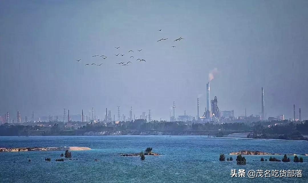 茂名这座城市被誉为什么城,茂名是一座怎样的城市