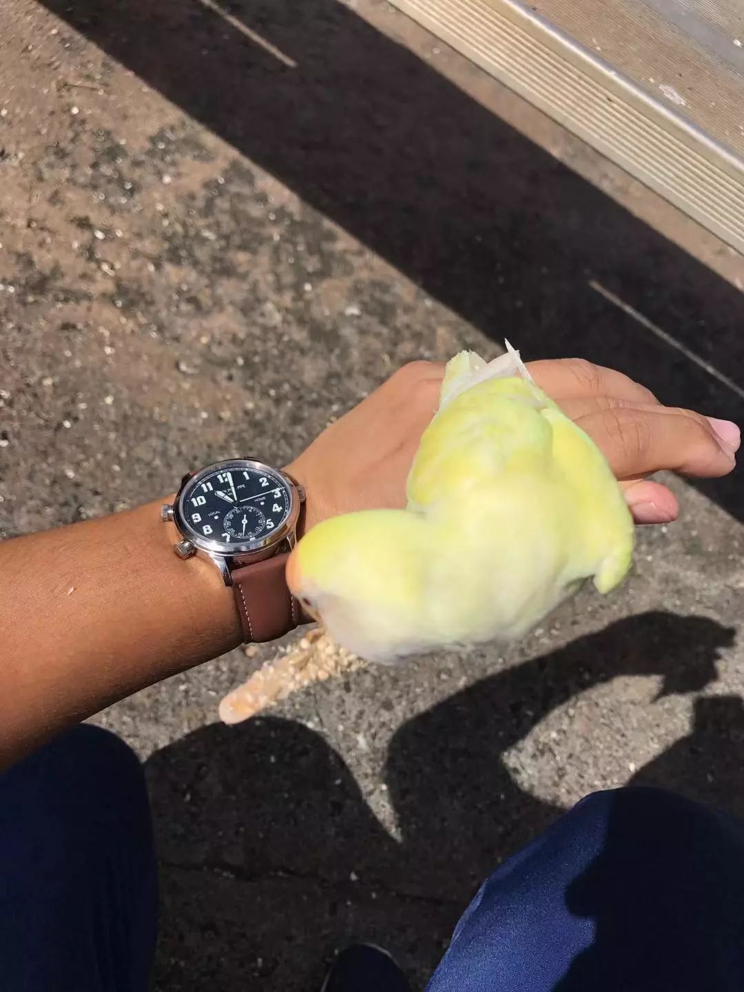 10万左右手表百达翡丽,10万能买什么样的百达翡丽