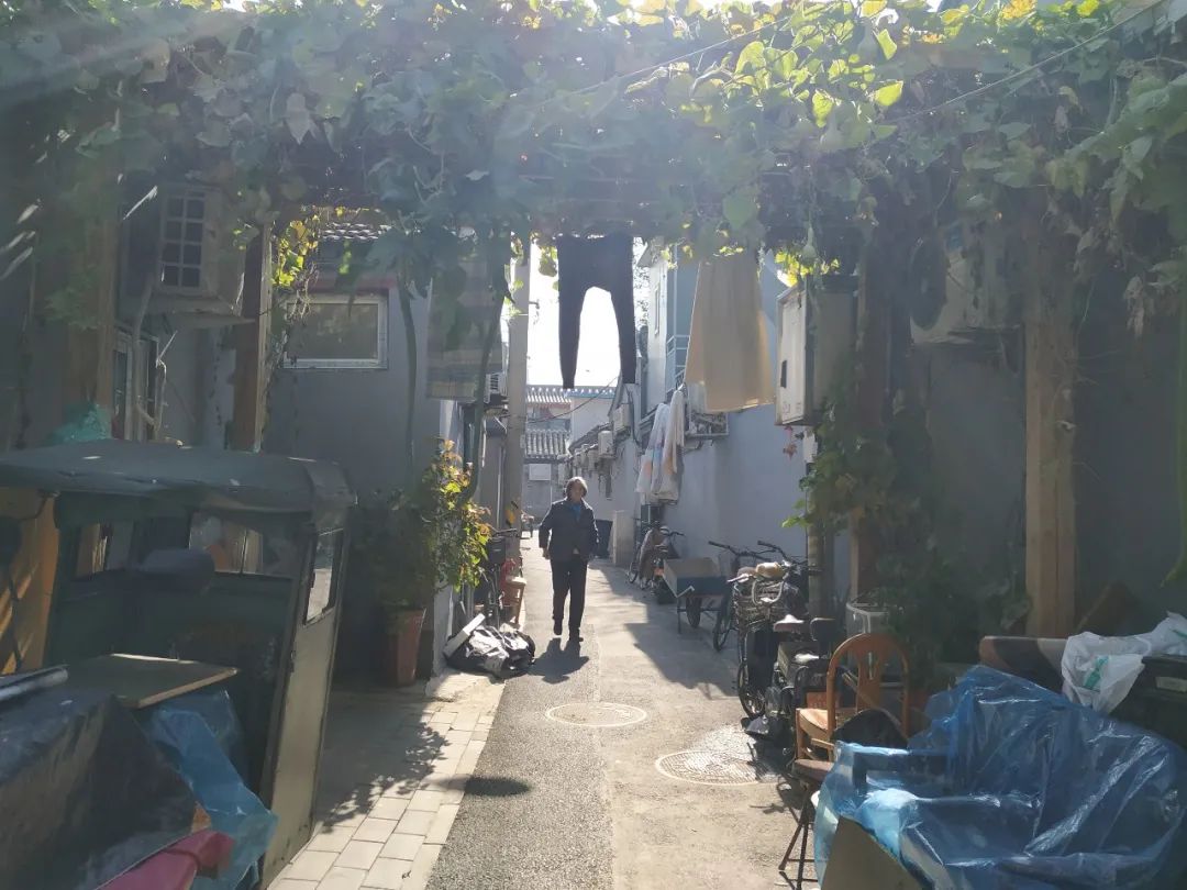 趣说北京话相声,趣说北京胡同的故事