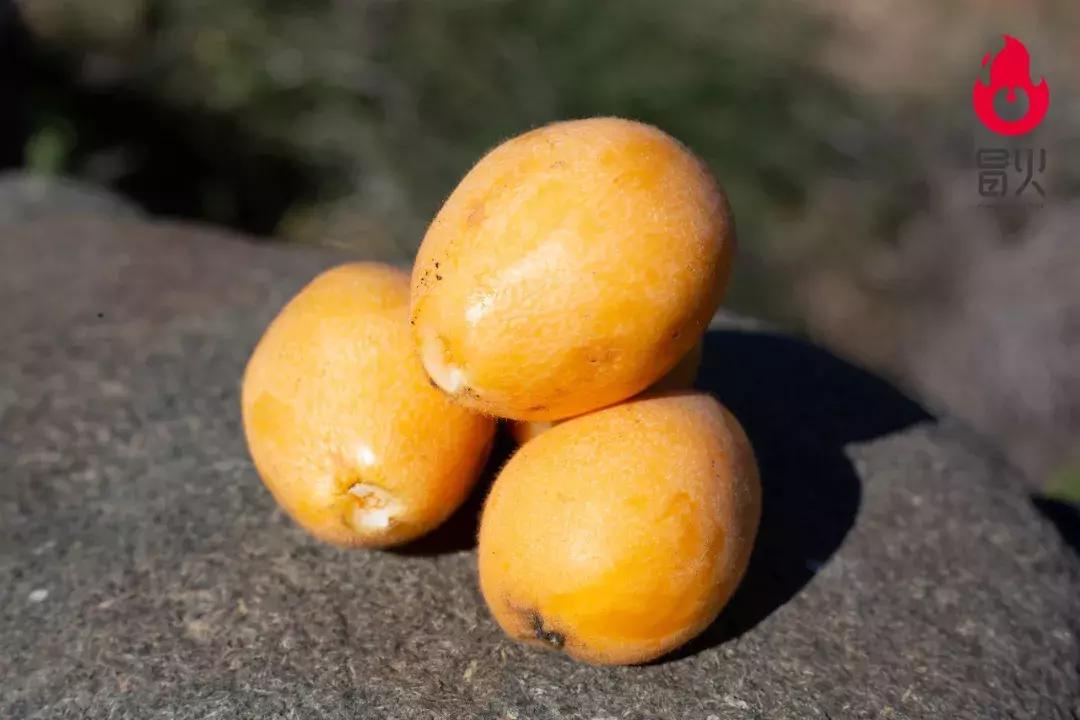 特级攀枝花米易枇杷新鲜大果,正宗四川龙泉驿大五星枇杷