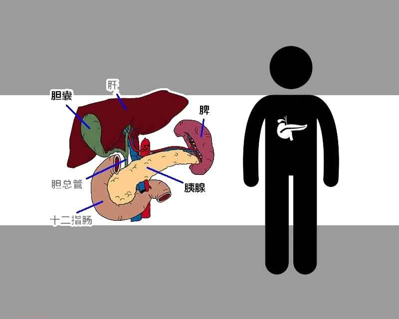 乔布斯胰腺癌是早期还是晚期,乔布斯发现胰腺癌活了多长时间