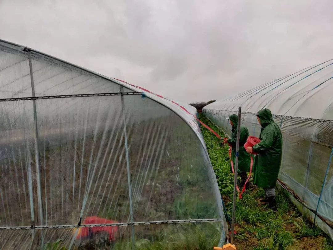 防疫不松懈坚守岗位,防疫不放松