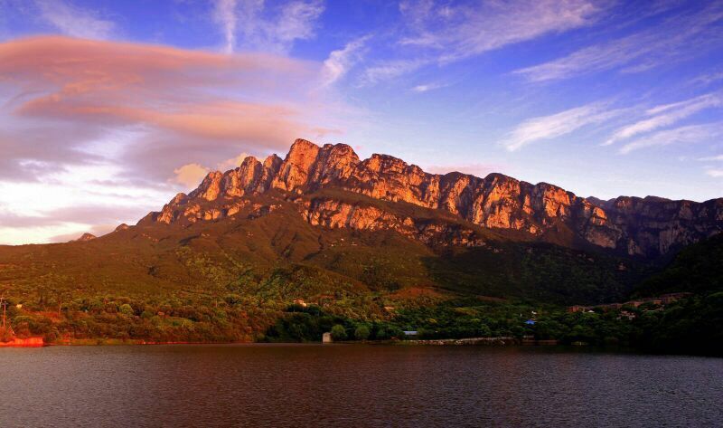 老年人跟团旅游被骗怎么办 (老人参加旅游团被坑)