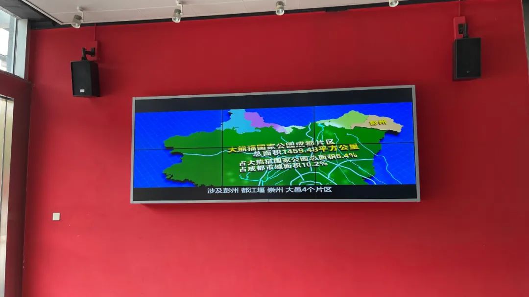 来成都看大熊猫攻略,成都看熊猫旅游攻略来了