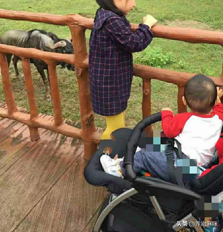 婴儿用品也有鄙视链?这种推车在妈妈圈垫底,你家排哪层?