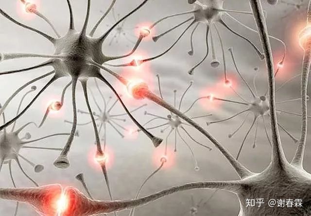 知识迭代与认知升级,通过自我迭代实现认知升级