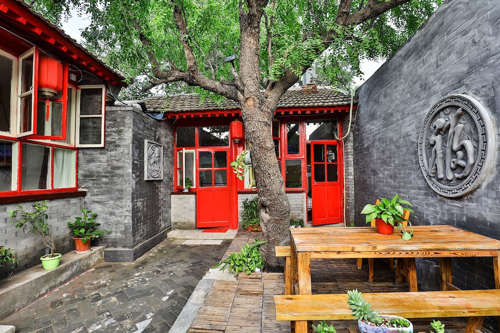 农村后院适合种啥树,家里种哪五种树可以旺家多子多福