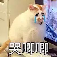 couldn'tconnecttohost