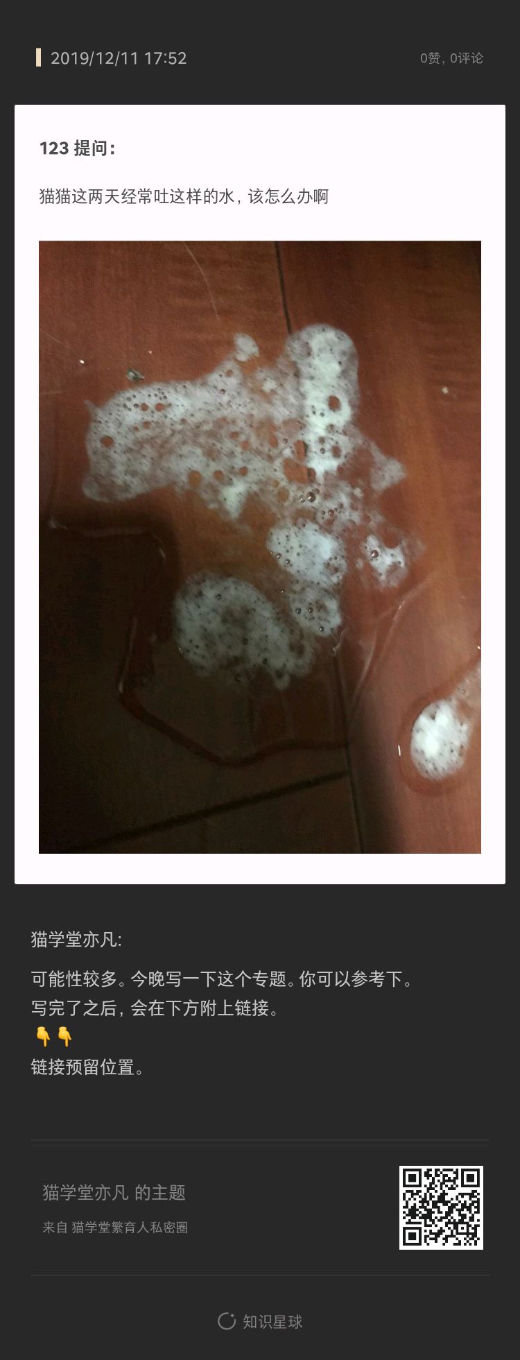 猫咪吐白色粘液和泡沫吃什么药,猫咪拉稀呕吐白色泡沫