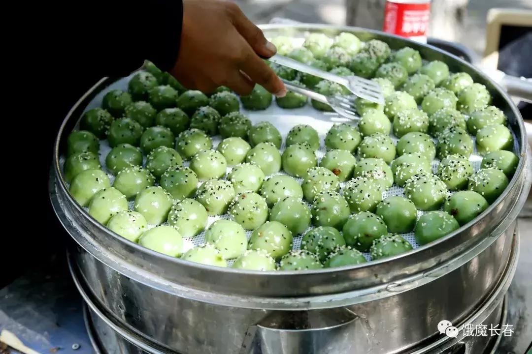 长春东北师范大学净月实验学校,长春东北师范大学青华校区