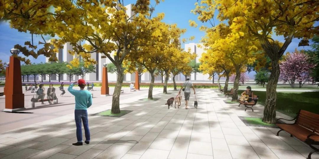 被盛赞“很精彩!很惊艳!很欣喜!”南充最美公园华丽来袭|DPC