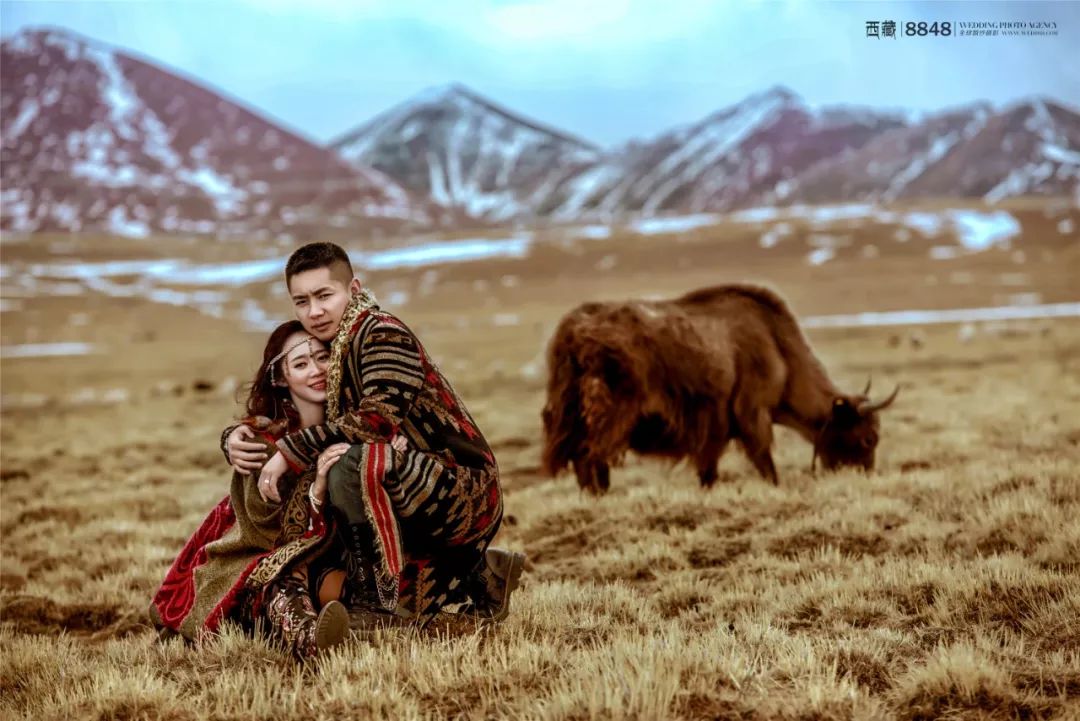 秘藏摄影西藏旅拍,8848西藏摄影展