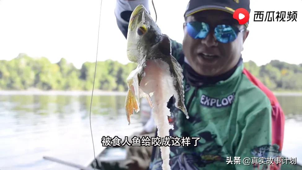 故事：前高管放弃百万年薪到无人区海钓，捕获246斤狗牙金枪