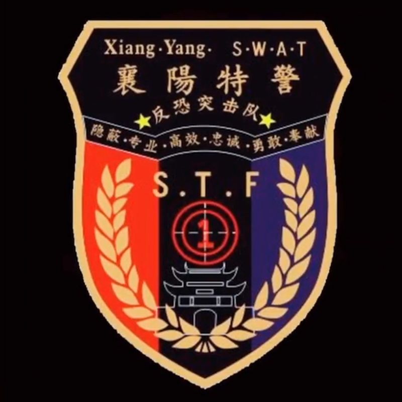 全国各个城市特警队臂章,公安特警帅图