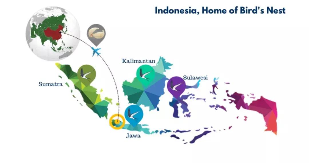 最全的燕窝知识科普,燕窝科普篇