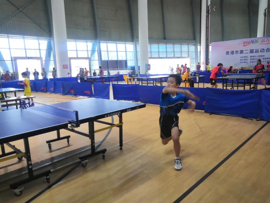 市运会精彩进球,省运会金牌榜完整版