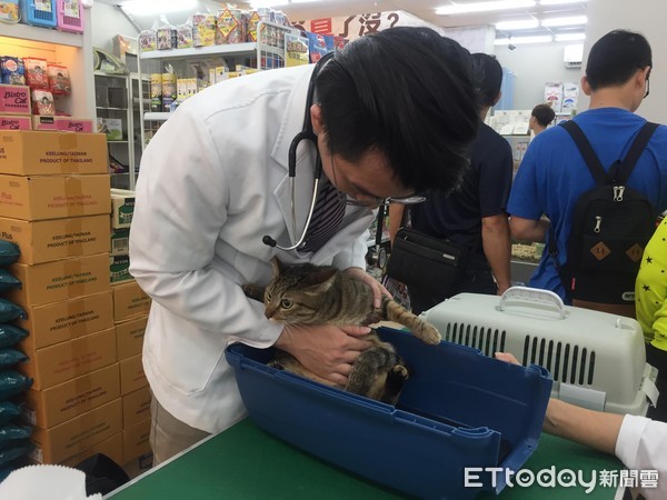 汪等待健检皮皮挫！　她养柴6年才知毛孩牙结石