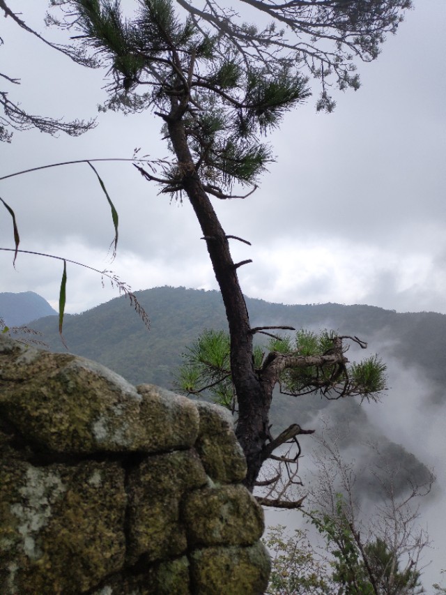 蕲春仙人台近日发生车祸,蕲春仙人台海拔