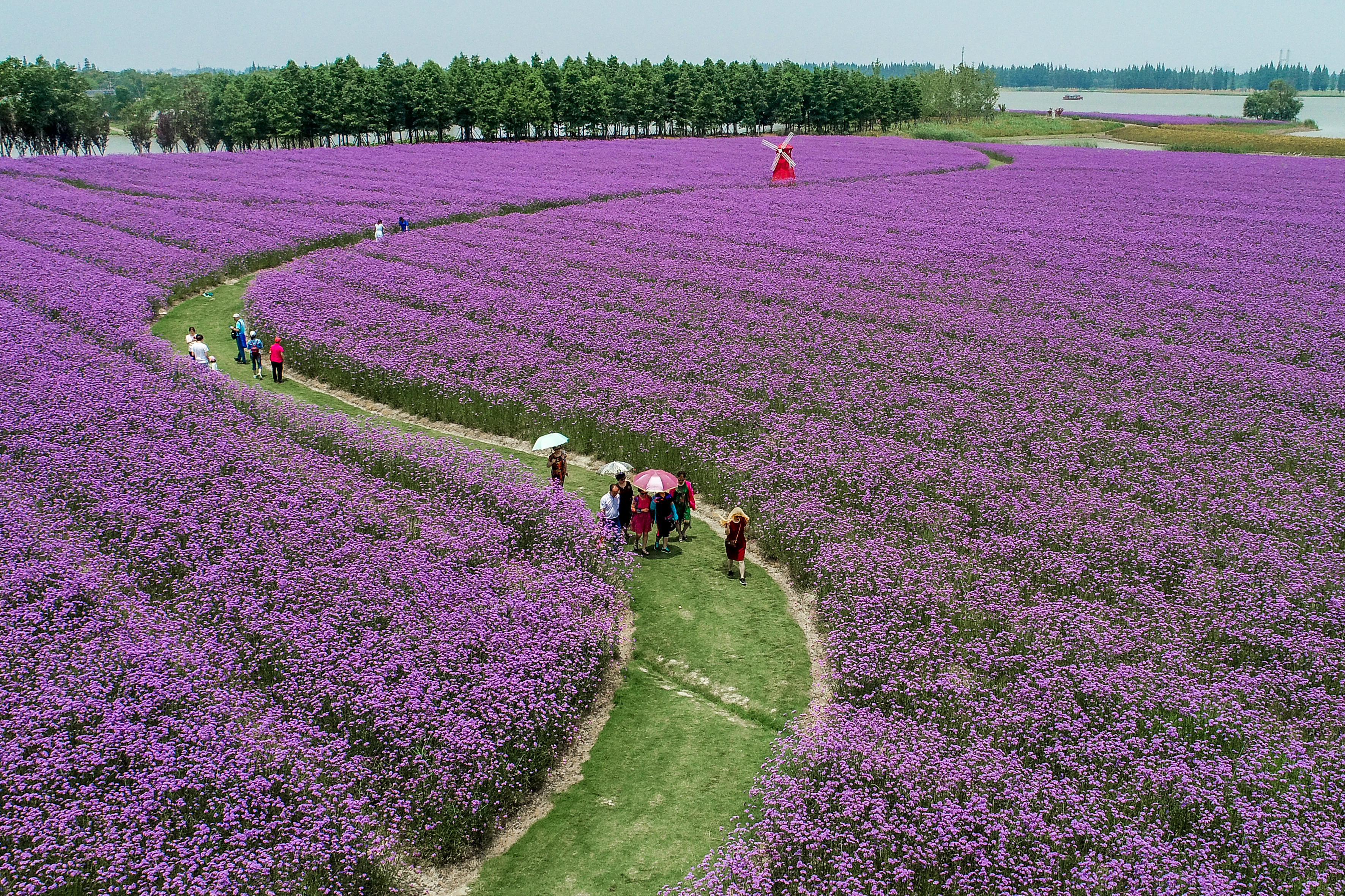 江苏南京高淳区旅游攻略,南京高淳老街一日游怎么坐地铁