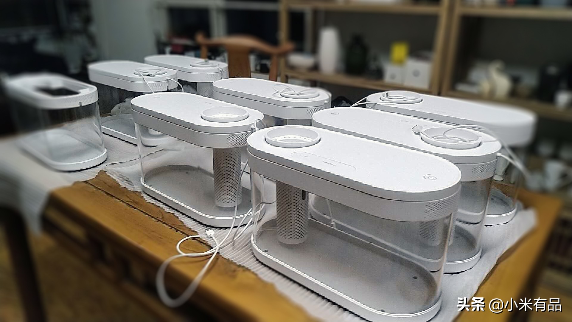 小米两栖生态鱼缸图片,小米生态小鱼缸