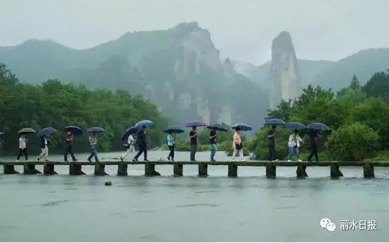 红色新丽水,红色浙西南央视