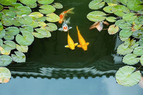 肇庆熹云文化别苑2房1厅别墅,肇庆熹云文化别苑公寓房