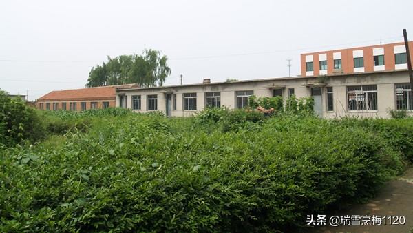 沈阳市沈北新区原抗大学校,沈阳百年学校
