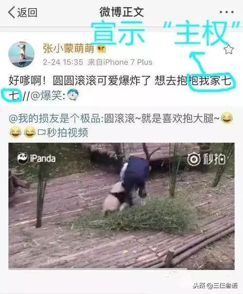 章若楠和王思聪在一起过吗,王思聪上热搜章若楠