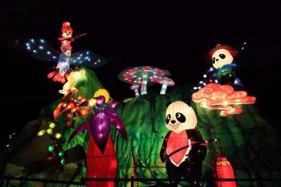 熊猫来永庆坊,鹰潭大熊猫