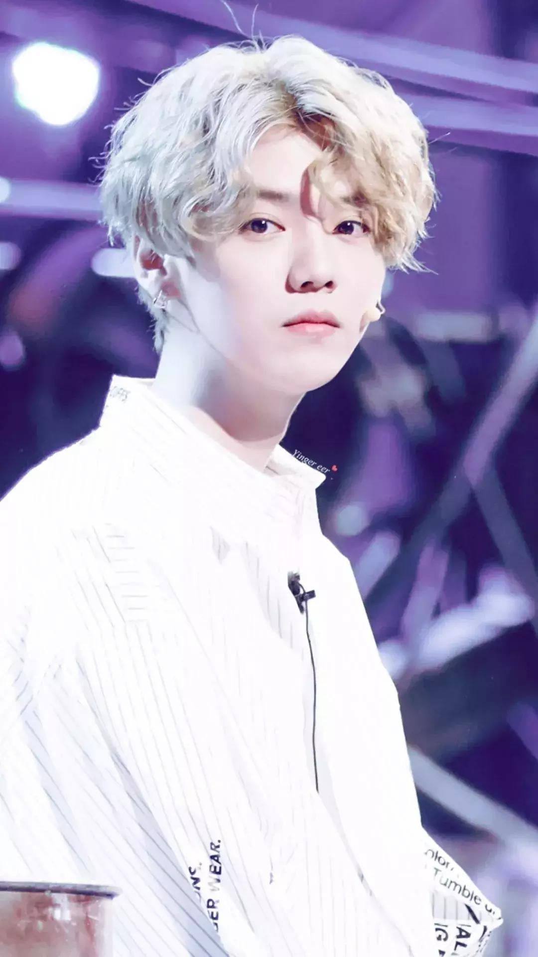 近期鹿晗热搜,鹿晗爱豆鸭